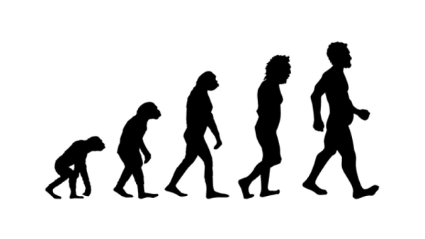 Proč toužíme po tuku a cukru – evoluční psychologie