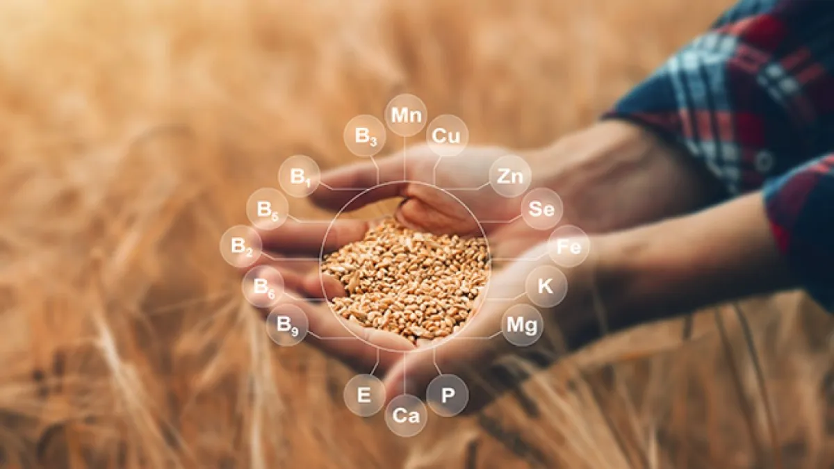 Vitamíny rozpustné v tucích – jejich význam, a kde je najdeme